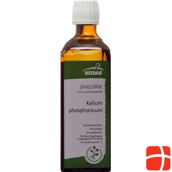 HEIDAK Spagyrik Potassium phosphoricum Fl 250 ml