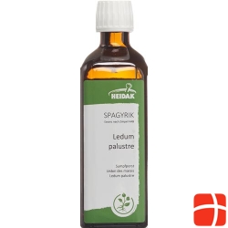 HEIDAK Ledum palustre Spagyrik Fl 250 ml