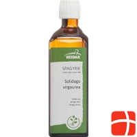 Solidago virgaurea HEIDAK Spagyrik Fl 250 ml