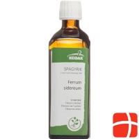 HEIDAK Spagyrik SPABIONIK Ferrum sidereum Fl 250 ml