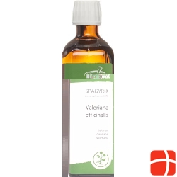 HEIDAK Spagyrik Valeriana officinalis Bottle 250 ml