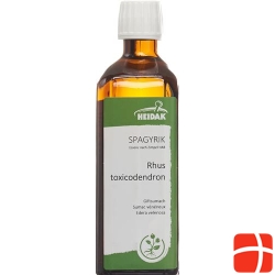 HEIDAK Spagyrik Rhus toxicodendron bottle 250 ml