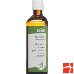 HEIDAK Spagyrik Harpagophytum procumbens Fl 250 ml