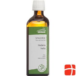 HEIDAK spagyrik Hedera helix bottle 250 ml