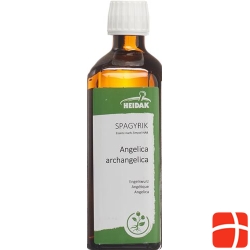 HEIDAK Spagyric Angelica Archangelica Bottle 250 ml