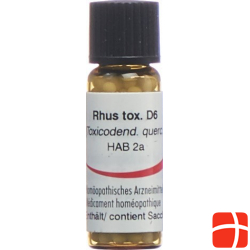 Omida Rhus Toxicodendron Globuli D 6 14g