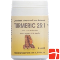 Turmeric 25:1 Tabletten 250mg 60 Stück
