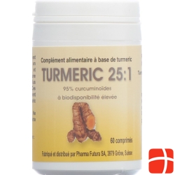 Turmeric 25:1 Tabletten 250mg 60 Stück