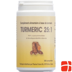 Turmeric 25:1 Tabletten 250mg 300 Stück