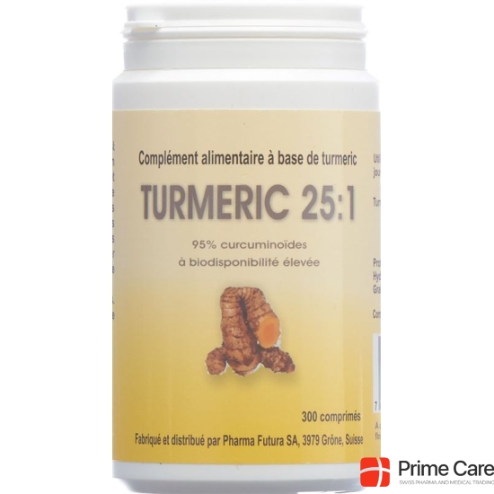 Turmeric 25:1 Tabletten 250mg 300 Stück buy online