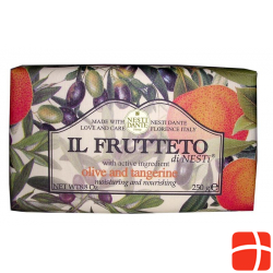 Nesti Dante Seife Il Frutteto Oliva/mandari 250g