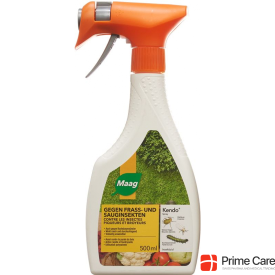 Kendo Insektizid Spray 500ml buy online