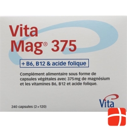 Vita Mag 375 240 Kapseln