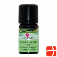 Damascena Eukalyptus Radiata Ätherisches Öl Bio 5ml