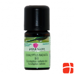 Damascena Eukalyptus Radiata Ätherisches Öl Bio 5ml