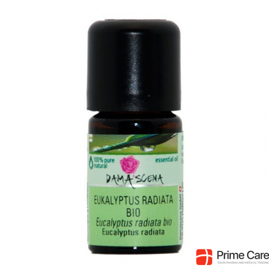 Damascena Eukalyptus Radiata Ätherisches Öl Bio 5ml buy online