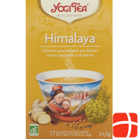 Yogi Tee Himalaya Beutel 17 Stück