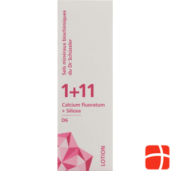 Phytomed Schüssler Lotion 1+11 Tube 200g