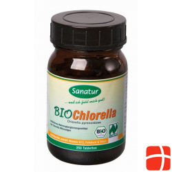 Bio Chlorella Hau Tabletten 400mg 250 Stück