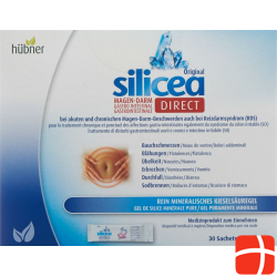 Hübner Silicea Magen-Darm Direct Gel 30 Sticks à 15ml