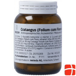 Weleda Crataegus Kautabletten Fol C Flor/fruct 40g