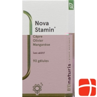 NOVAstamin Cape Ds 90 pcs