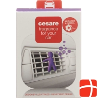 Joy Duftmännchen car Cesare violet Lilac Blossom