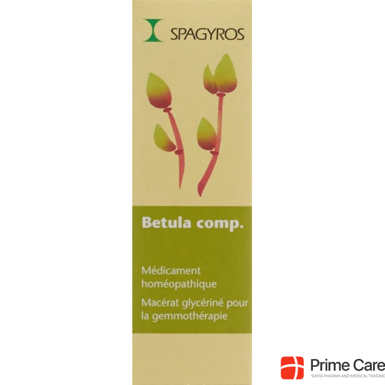 Spagyros Gemmo Betula comp Glyc Maz D 1 30 ml buy online