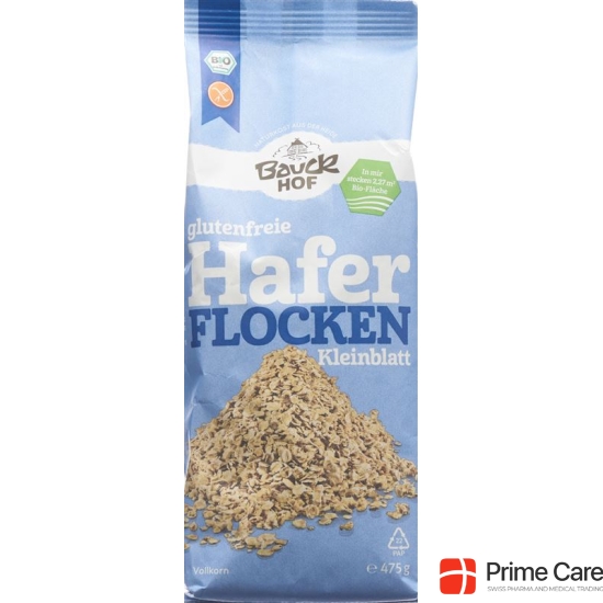 Bauckhof oatmeal Kleinblatt gluten free Btl 475g