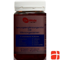 Dr. Wolz microorganisms Kaps 120 pcs