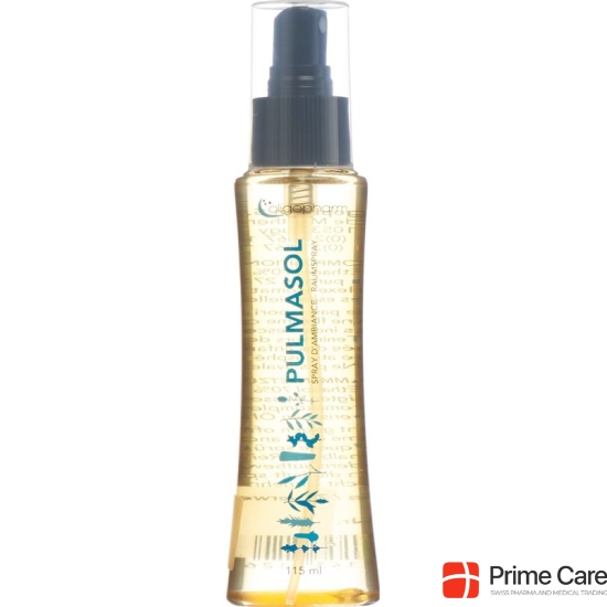 Pulmasol Spray 115 ml buy online