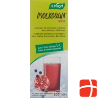 A. Vogel Molkosan Fruit 200 ml