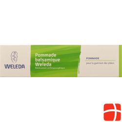 Weleda ointment Tb 25 g