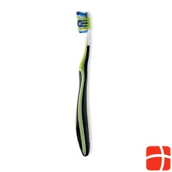 Cleandent toothbrush