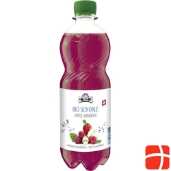 Holderhof apple-raspberry juice bio 5 dl