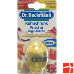 Dr Beckmann refrigerator fresh lime 40 g