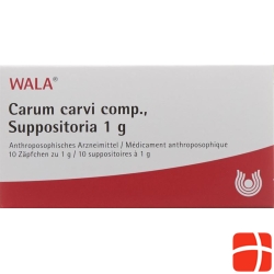 Wala Carum carvi comp. Soup 10 x 1g