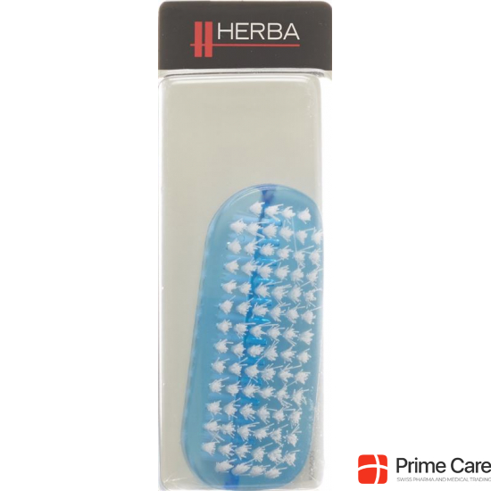 Herba nail brush blue clear frosted