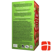 Pukka Pomme Sauvage Cannelle et Gingembre Thé organic bag 20 pcs
