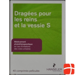 Kidney and Blasendragées S Filmtabl 40 pcs