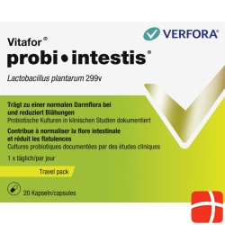 Vitafor probi-intestis Cape Travel Pack 20 pcs