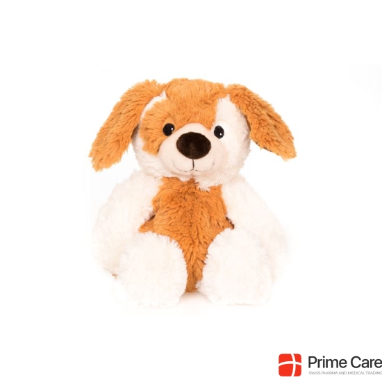 Habibi Plush Dog sitting beige white