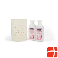 EDUARD VOGT SPA Romantic light sensitive gift wrap