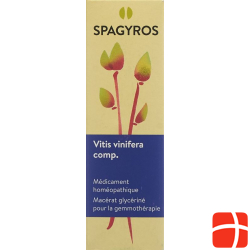 Spagyros Gemmo Comp Vitis vinifera Glyc Maz D 1 30 ml