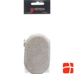 Herba pumice