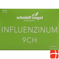 SN Influenzinum Glob CH 9 5 x 1 g