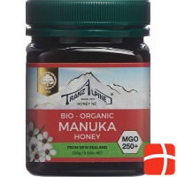 Hoyer Manuka Honey MGO 250+ Bio 250 g
