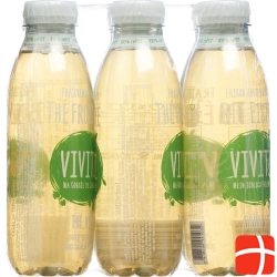 VIVITZ Bio iced tea green tea 6 x 0.5 lt