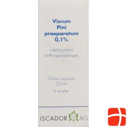 Iscador Viscum Pini Praeparatum 0.1% Dilutio aquosa 20 ml