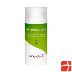 Kingnature Artemisia Cream Dispenser 30 ml